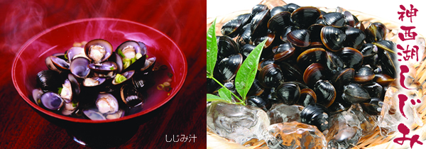 神在湖しじみ しじみ汁